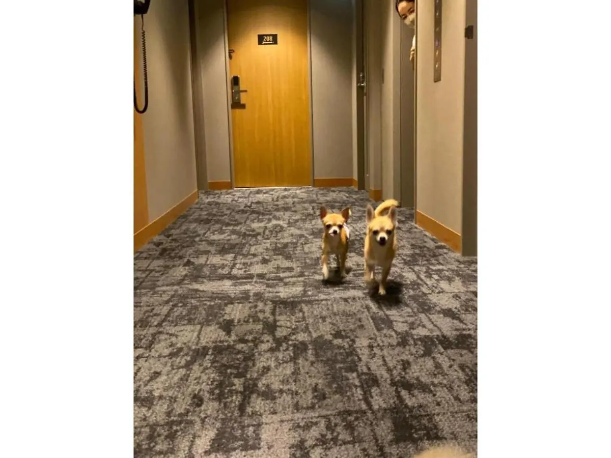 Ici Hotel Asakusabashi - Vacation Stay 71078V Tokyo