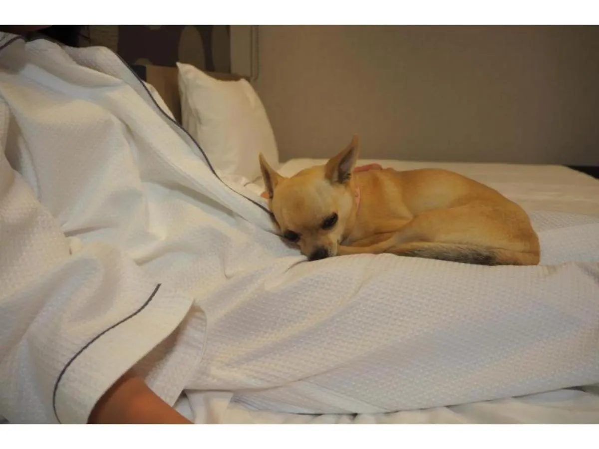 Ici Hotel Asakusabashi - Vacation Stay 71078V Τόκιο Ιαπωνία