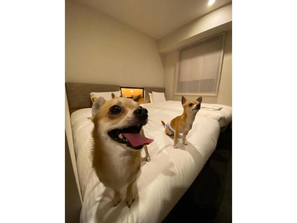 Ici Hotel Asakusabashi - Vacation Stay 71078V Τόκιο