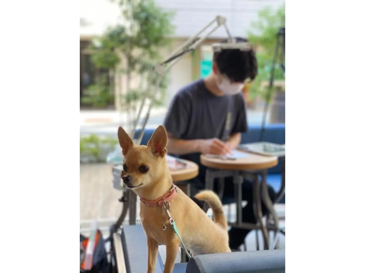 Ici Hotel Asakusabashi - Vacation Stay 71078V Τόκιο Ιαπωνία